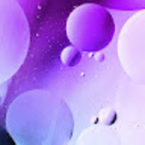 Meet your Posher, Lincoln